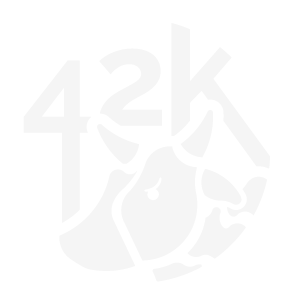 Landing page_Logo 42K