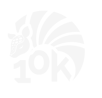 Landing page_logo 10K